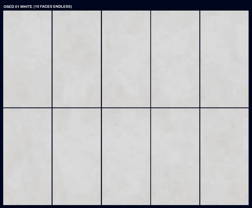 SOHO CONCRETE WHITE (10F ENDLESS) 60X120 RECT MAT.webp