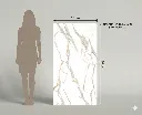 human CALACATTA GOLD LUXE (10F RANDOM) 60X120 RECT PULIDO.webp